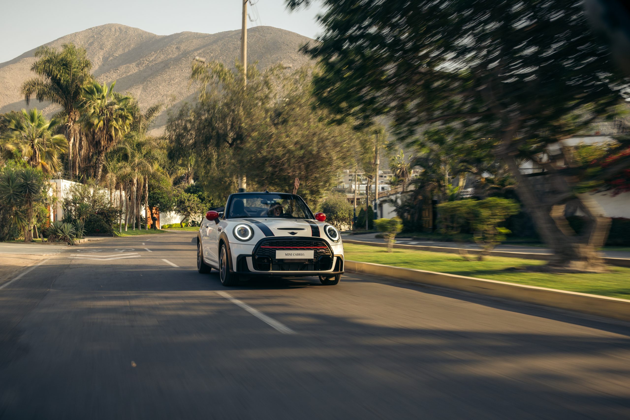 MINI